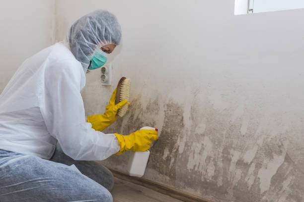 Crawl Space Mold Removal in Altoona, WI