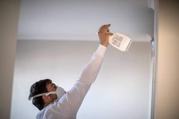 Mold Removal and Inspection in Altoona, WI