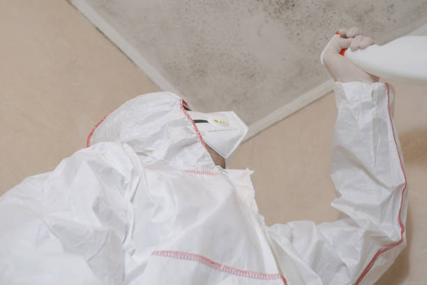 Best Certified Mold Removal  in Altoona, WI